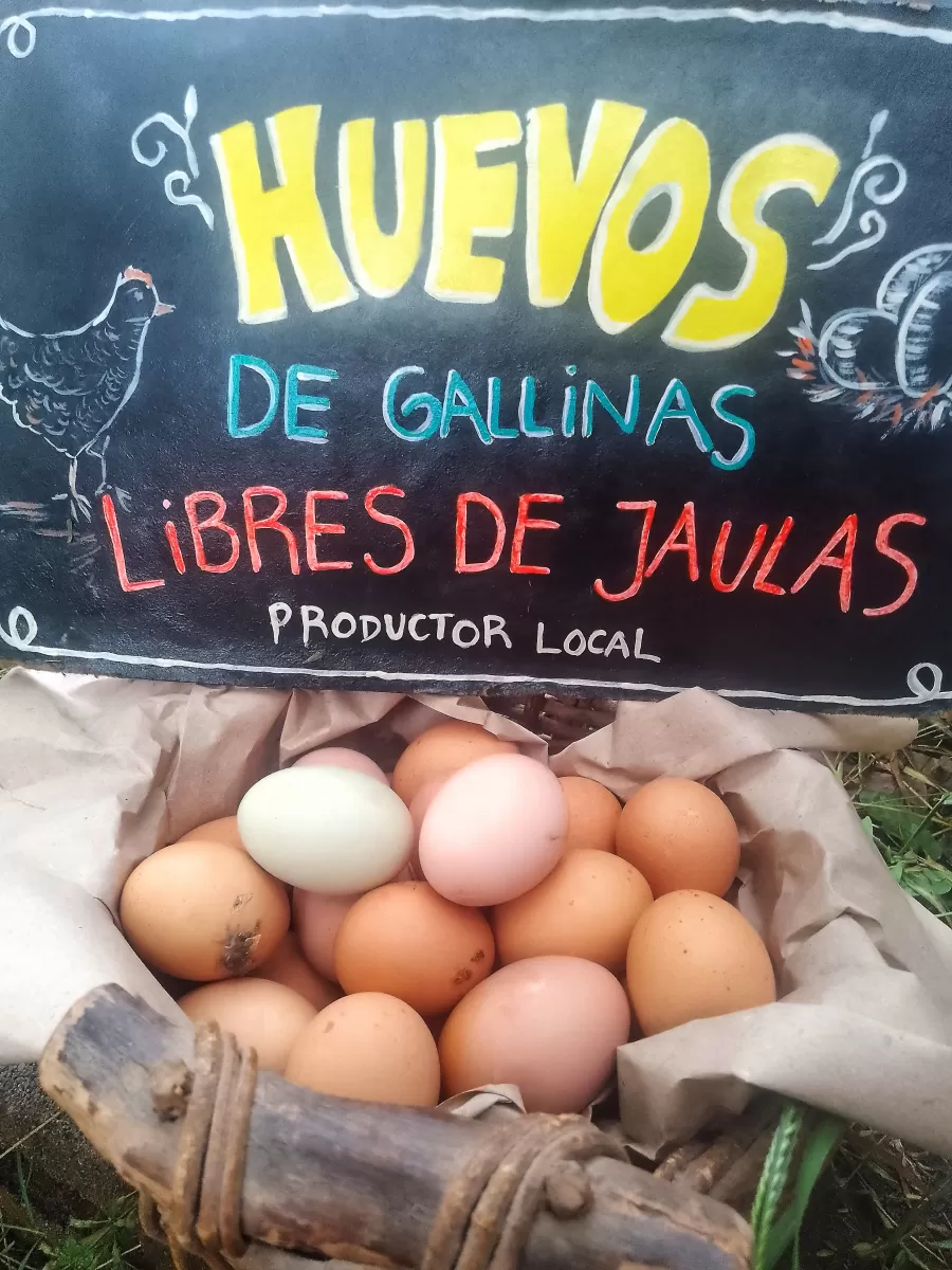 Imagen del feriante